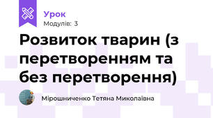 Розвиток тварин (з перетворенням та без перетворення)