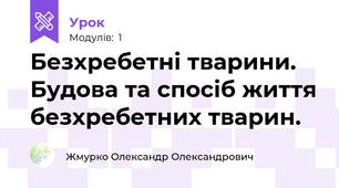 Безхребетні тварини. Будова та спосіб життя безхребетних тварин.