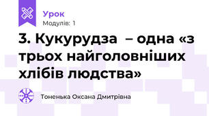 3. Кукурудза  – одна «з трьох найголовніших хлібів людства» 