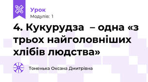 4. Кукурудза  – одна «з трьох найголовніших хлібів людства» 