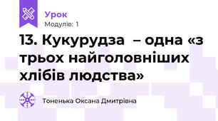 13. Кукурудза  – одна «з трьох найголовніших хлібів людства» 