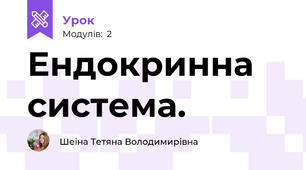 Ендокринна система.