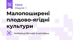 Малопоширені плодово-ягідні культури
