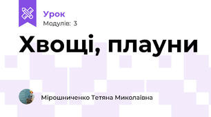 Хвощі, плауни