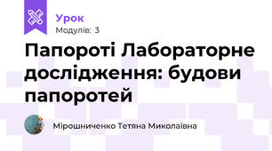 Папороті Лабораторне дослідження: будови папоротей