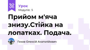 Прийом м'яча знизу.Стійка на лопатках. Подача.