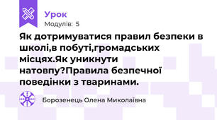 Як дотримуватися правил безпеки в школі,в побуті,громадських місцях.Як уникнути натовпу?Правила безпечної поведінки з тваринами.