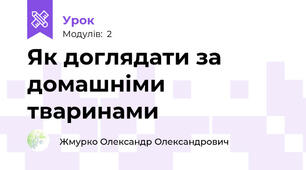 Як доглядати за домашніми тваринами