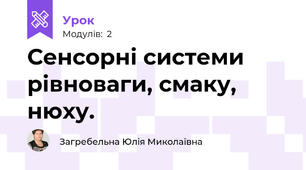Сенсорні системи рівноваги, смаку, нюху.