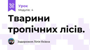 Тварини  тропічних лісів.
