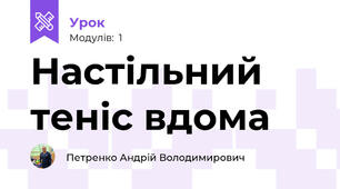 Настільний теніс вдома