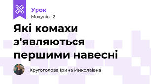 Які комахи з'являються першими навесні