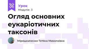 Огляд основних еукаріотичних таксонів