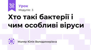 Хто такі бактерії і чим особливі віруси