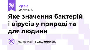 Яке значення бактерій і вірусів у природі та для людини