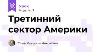 Третинний сектор Америки