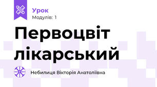 Первоцвіт лікарський