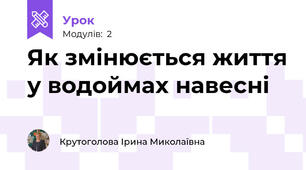 Як змінюється життя у водоймах навесні