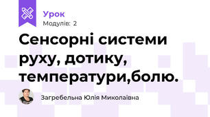 Сенсорні системи руху, дотику, температури,болю.