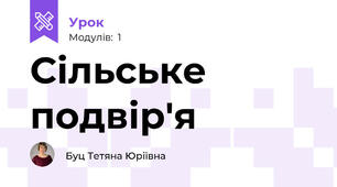 Сільське подвір'я