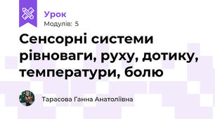 Сенсорні системи рівноваги, руху, дотику, температури, болю