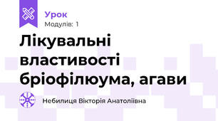 Лікувальні властивості бріофілюума, агави