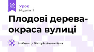Плодові дерева- окраса вулиці
