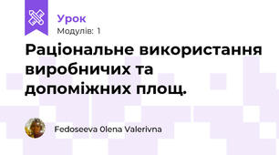 Раціональне використання виробничих та допоміжних площ.