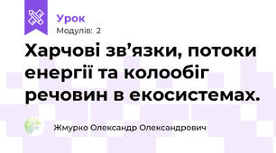 Харчові зв’язки, потоки енергії та колообіг речовин в екосистемах.