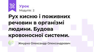 Рух кисню і поживних речовин в організмі людини. Будова кровоносної системи.