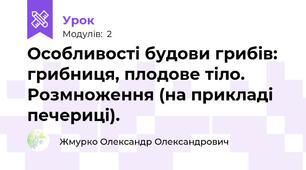 Особливості будови грибів: грибниця, плодове тіло. Розмноження (на прикладі печериці).