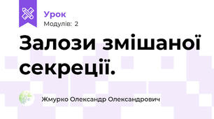 Залози змішаної секреції.