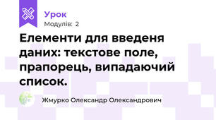 Елементи для введеня даних: текстове поле, прапорець, випадаючий список.