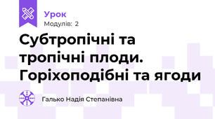 Субтропічні та тропічні плоди. Горіхоподібні та ягоди 