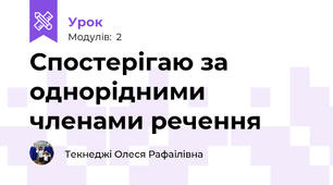 Спостерігаю за однорідними членами речення