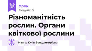 Різноманітність рослин. Органи квіткової рослини