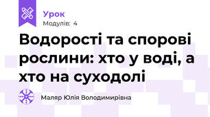Водорості та спорові рослини: хто у воді, а хто на суходолі