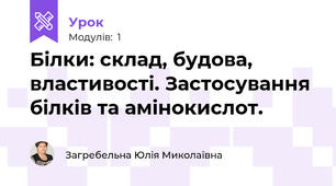 Білки: склад, будова, властивості. Застосування білків та амінокислот.