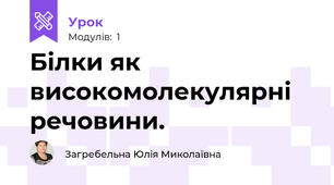Білки як високомолекулярні речовини.