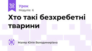 Хто такі безхребетні тварини