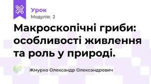 Макроскопічні гриби: особливості живлення та роль у природі.