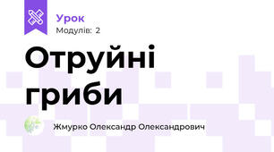 Отруйні гриби