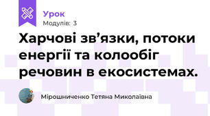 Харчові зв’язки, потоки енергії та колообіг речовин в екосистемах.