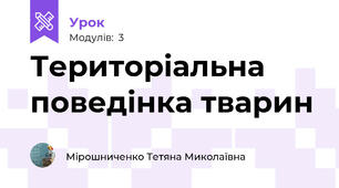 Територіальна  поведінка тварин