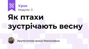 Як птахи зустрічають весну