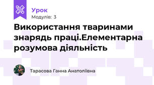 Використання тваринами знарядь праці.Елементарна розумова діяльність