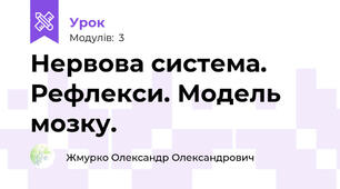 Нервова система. Рефлекси. Модель мозку.