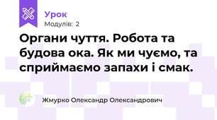 Органи чуття. Робота та будова ока. Як ми чуємо, та сприймаємо запахи і смак.