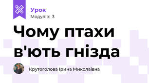 Чому птахи в'ють гнізда