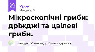 Мікроскопічні гриби: дріжджі та цвілеві гриби.